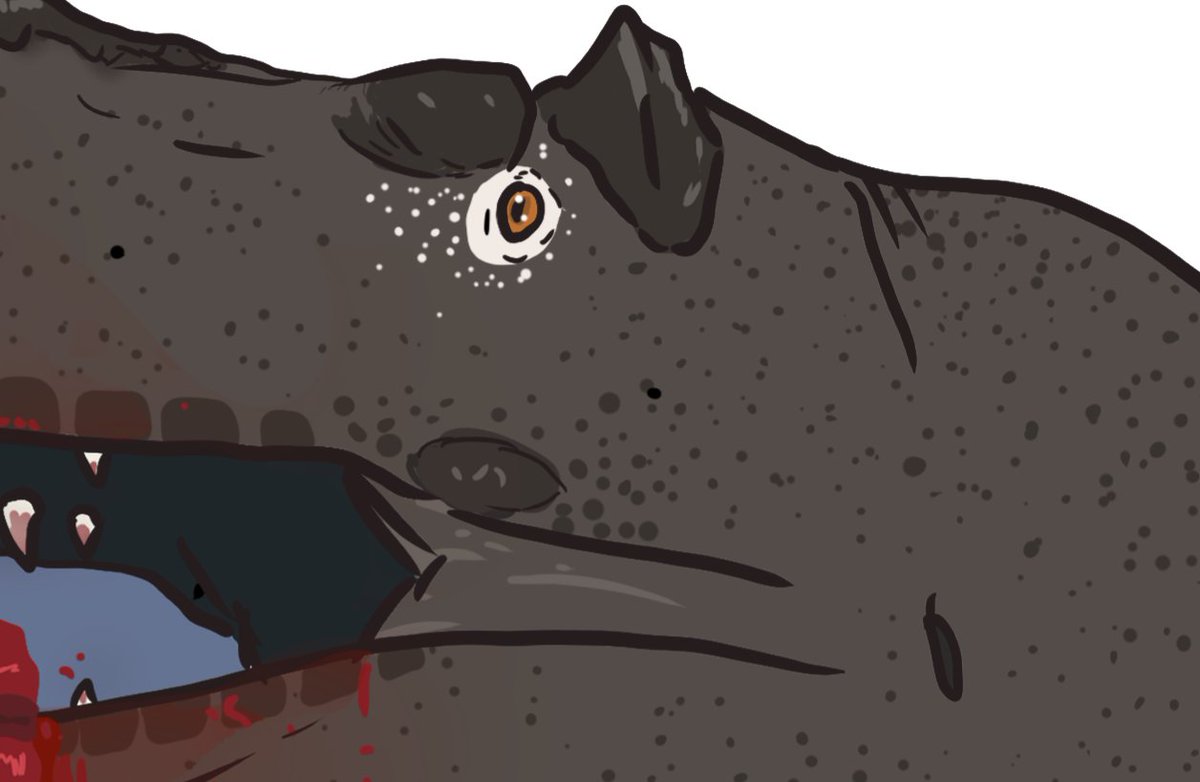 ScienceSkink's tweet image. Lil teaser 👀