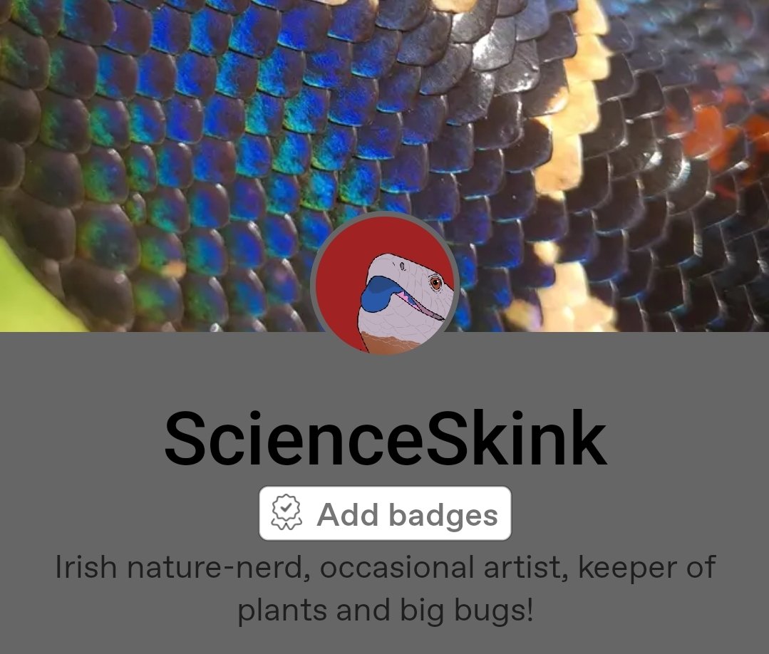ScienceSkink's tweet image. Lil teaser 👀