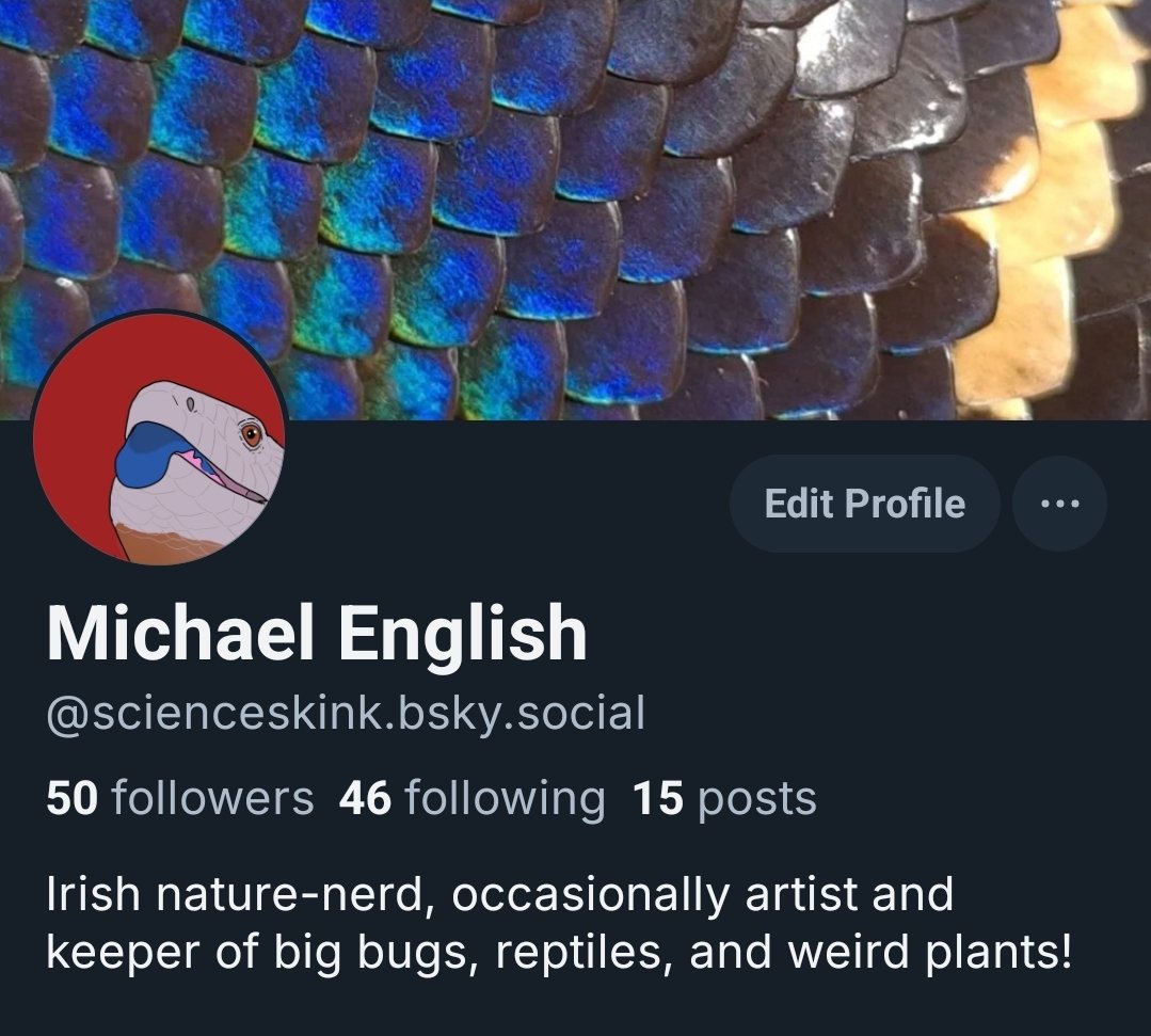 ScienceSkink's tweet image. Lil teaser 👀