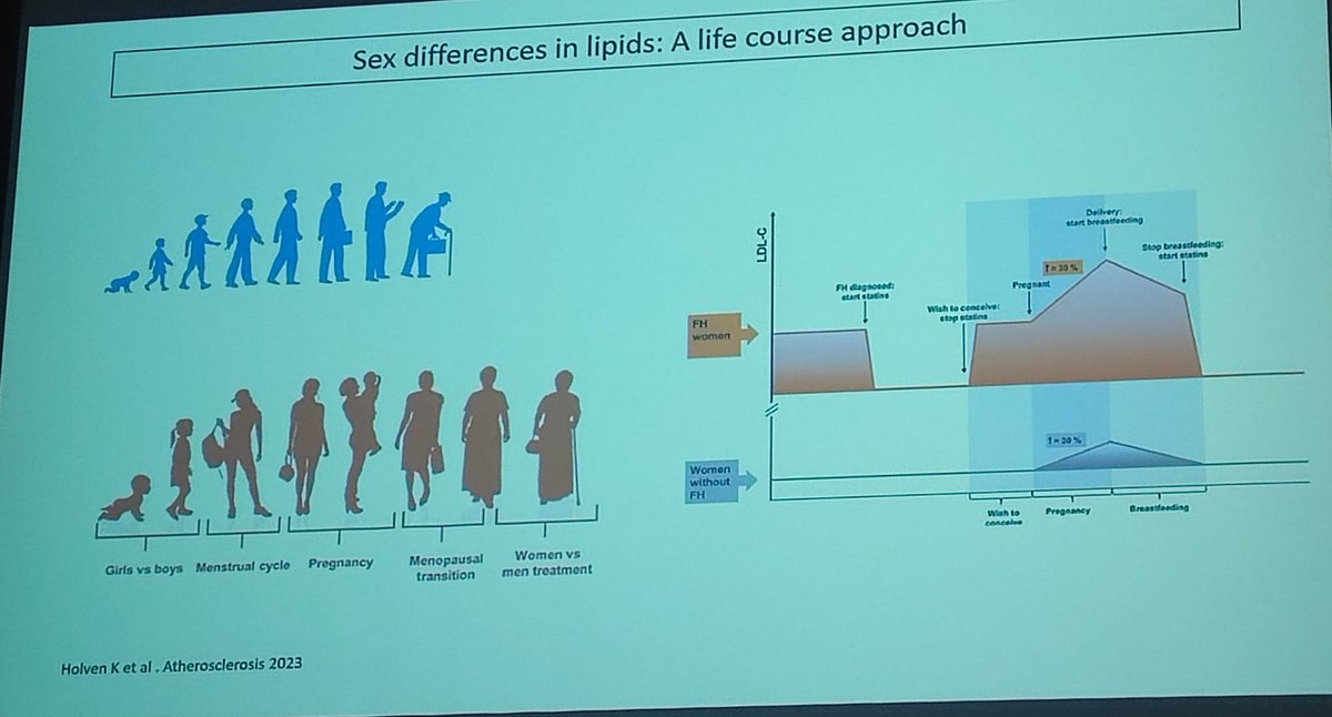 Women experience a great variability in cholesterol levels throughout life. Therefore, it is very important to consider the different stages. <a href="/HolvenKirsten/">Kirsten Holven</a>,et al. published this excellent study. <a href="/lluismasana/">Lluís masana</a> has presented this article at <a href="/xulacatalunya/">Xarxa d'Unitats de Lípids i Arterioesclerosi CAT</a>. #FHchildren <a href="/EASCongress/">EAS Congress</a>
