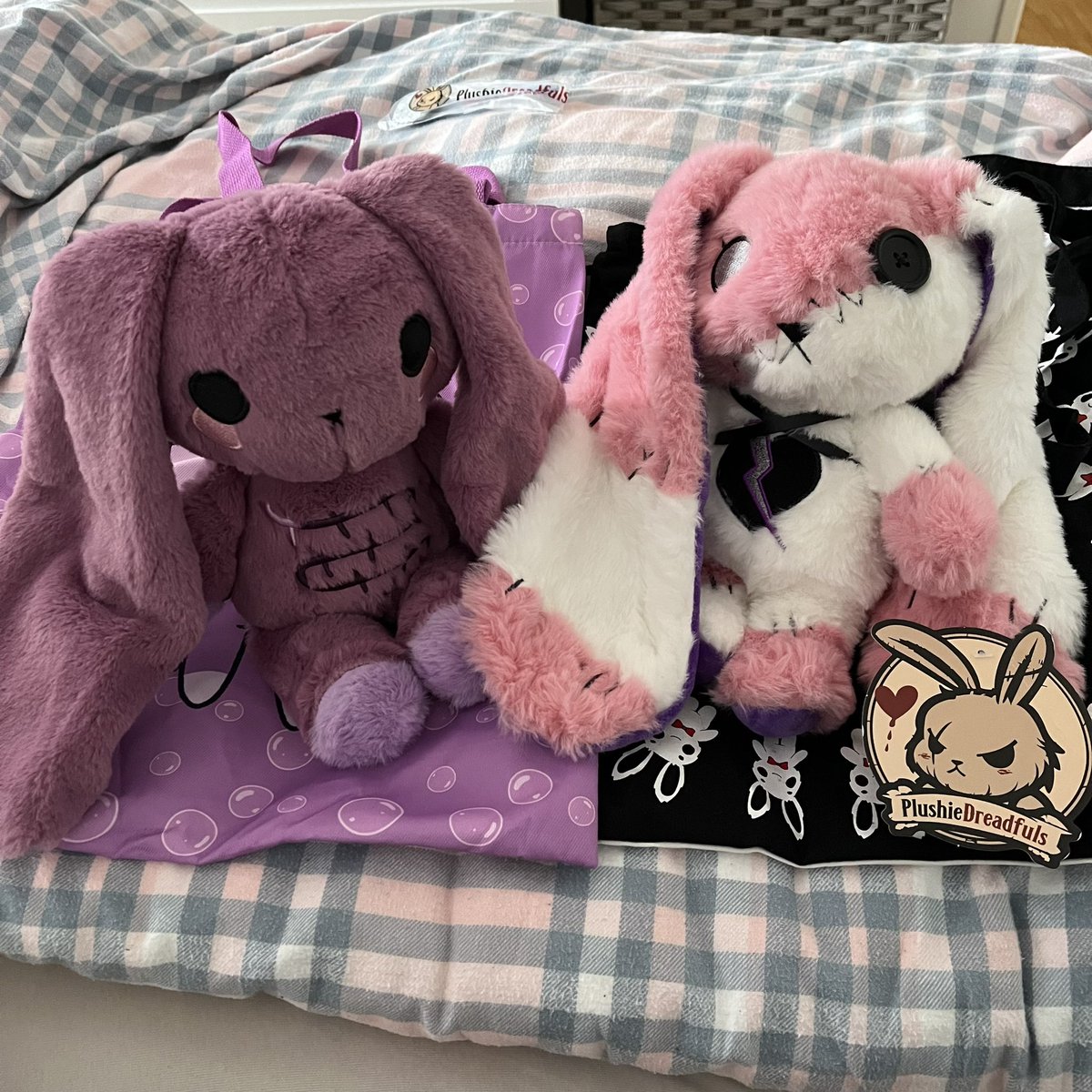 ShiroVessalius's tweet photo. I got these two cuties in my mail today ❤️ the ulcerative colitis bunny is for a friend and the bpd bunny is for me 🥰 The bunnies are such good representations of the deseases! Thank you so much for your understanding 🥹
@PlushieDreadful @americanmcgee https://t.co/AHalk2jnFK