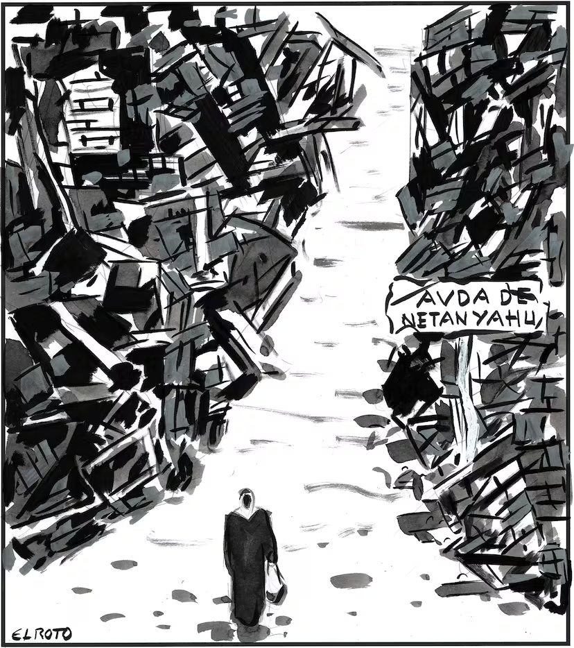 Teresa Fernández tweet media