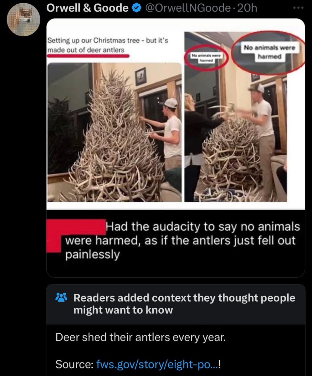 Community Notes & Violations tweet media