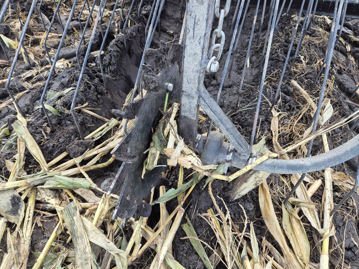 Gerrit Wermink tweet media