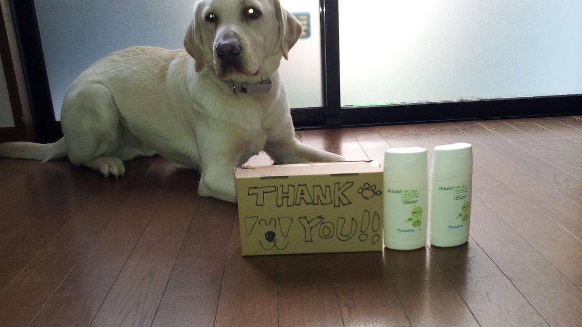 npohsda's tweet image. Amazon #ほしいものリスト を
更新させていただきました。
x.gd/xsoIG

現在不足しそうな物、常に使用する物を
リストアップしました📝
いつも様々な形でもサポートありがとうございます。引き続き応援よろしくお願いします🐾

#アマゾン #介助犬　#犬用品　#ドッグフード