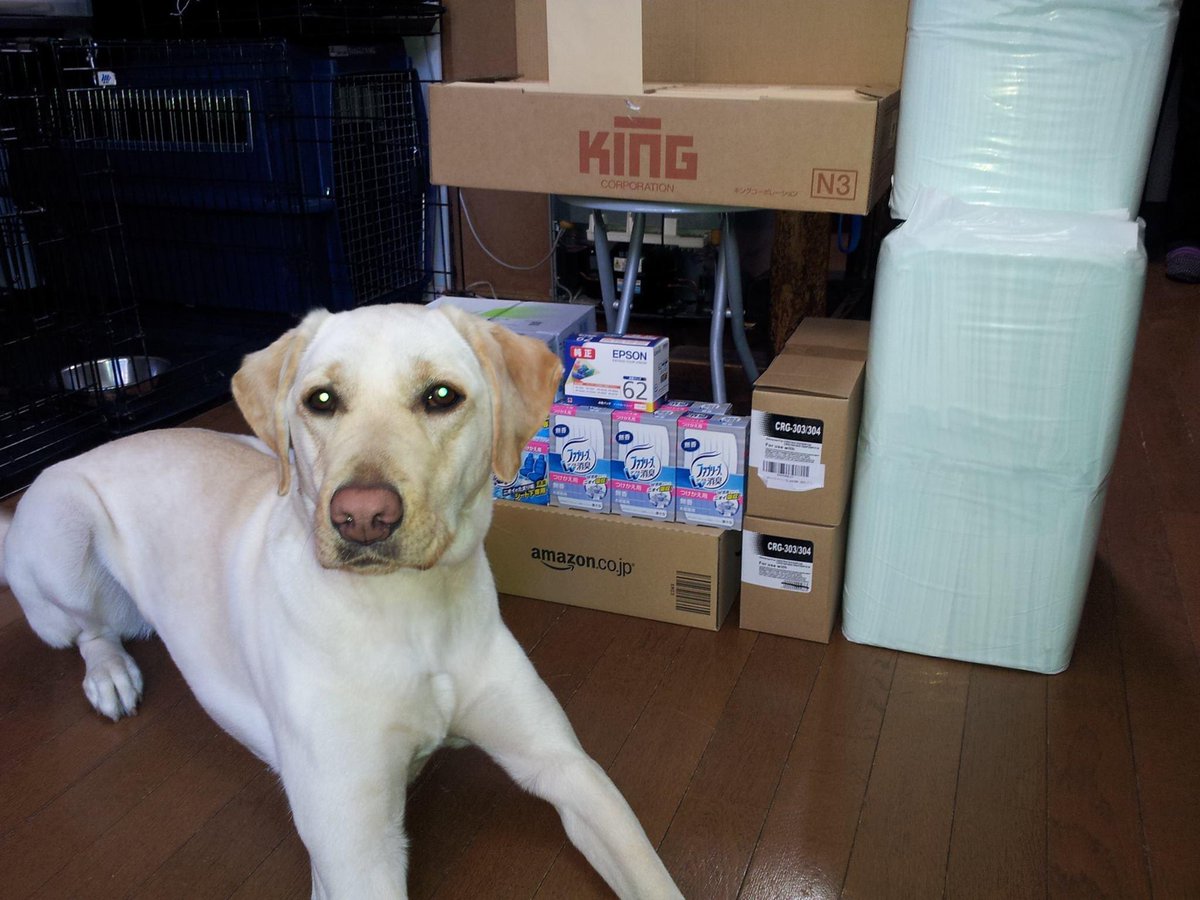 npohsda's tweet image. Amazon #ほしいものリスト を
更新させていただきました。
x.gd/xsoIG

現在不足しそうな物、常に使用する物を
リストアップしました📝
いつも様々な形でもサポートありがとうございます。引き続き応援よろしくお願いします🐾

#アマゾン #介助犬　#犬用品　#ドッグフード