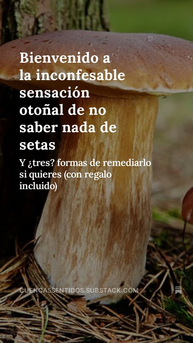 Cuenca5sentidos tweet media