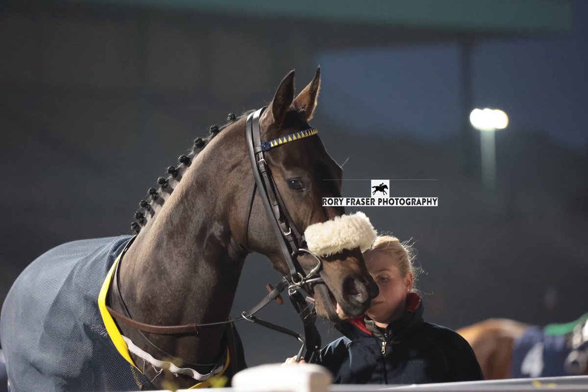 Rory Fraser Photography🤘 (@92roryf) on Twitter photo Third at Newcastle on Tuesday in the class six handicap (6f), SHE'SASHAMBLES (Profitable x Glen Ginnie)
Trained by <a href="/phil_makin_/">Phillip Makin</a>, and owned by P J Makin.
Winner of one race to date, back in August this year at Thirsk. Third at Newcastle on Tuesday in the class six handicap (6f), SHE'SASHAMBLES (Profitable x Glen Ginnie)
Trained by <a href="/phil_makin_/">Phillip Makin</a>, and owned by P J Makin.
Winner of one race to date, back in August this year at Thirsk.