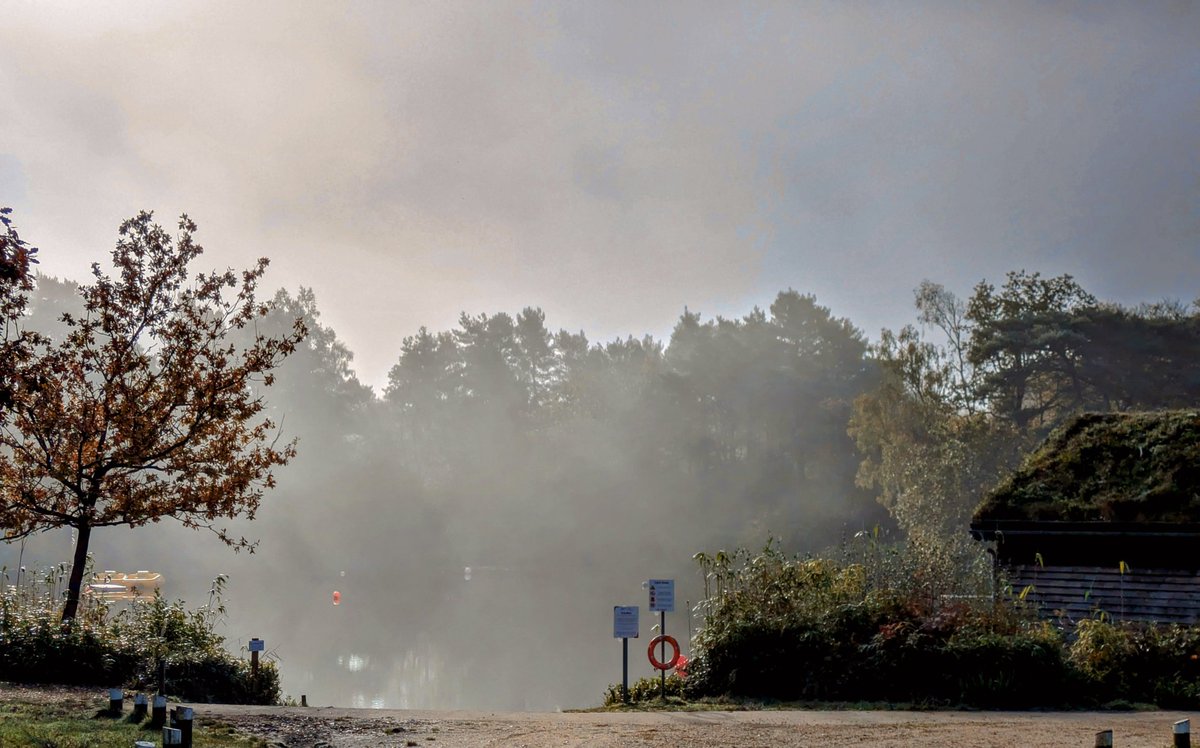 A misty morning <a href="/AvonTyrrell/">Avon Tyrrell</a>