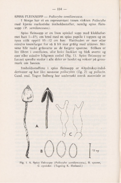 Psynapse tweet media