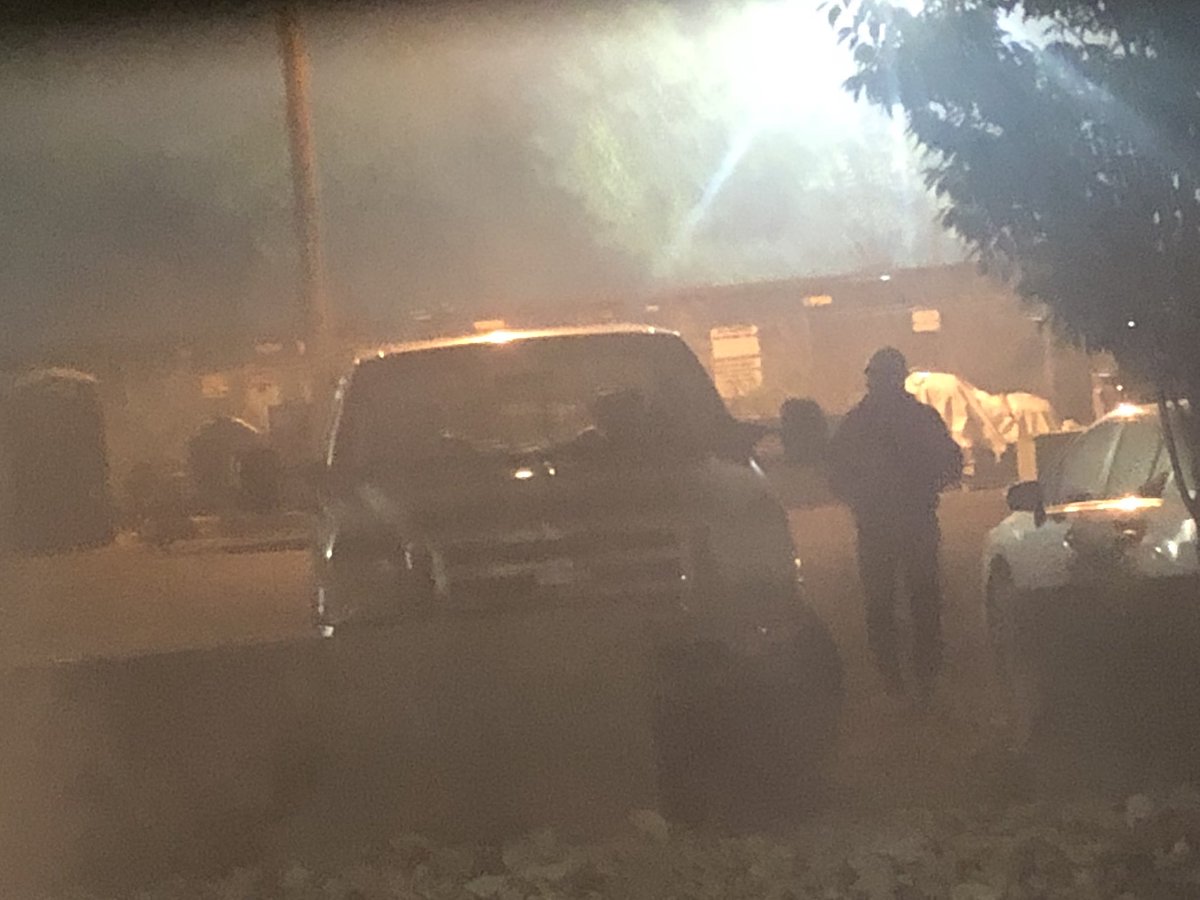 cutedolphin tweet media