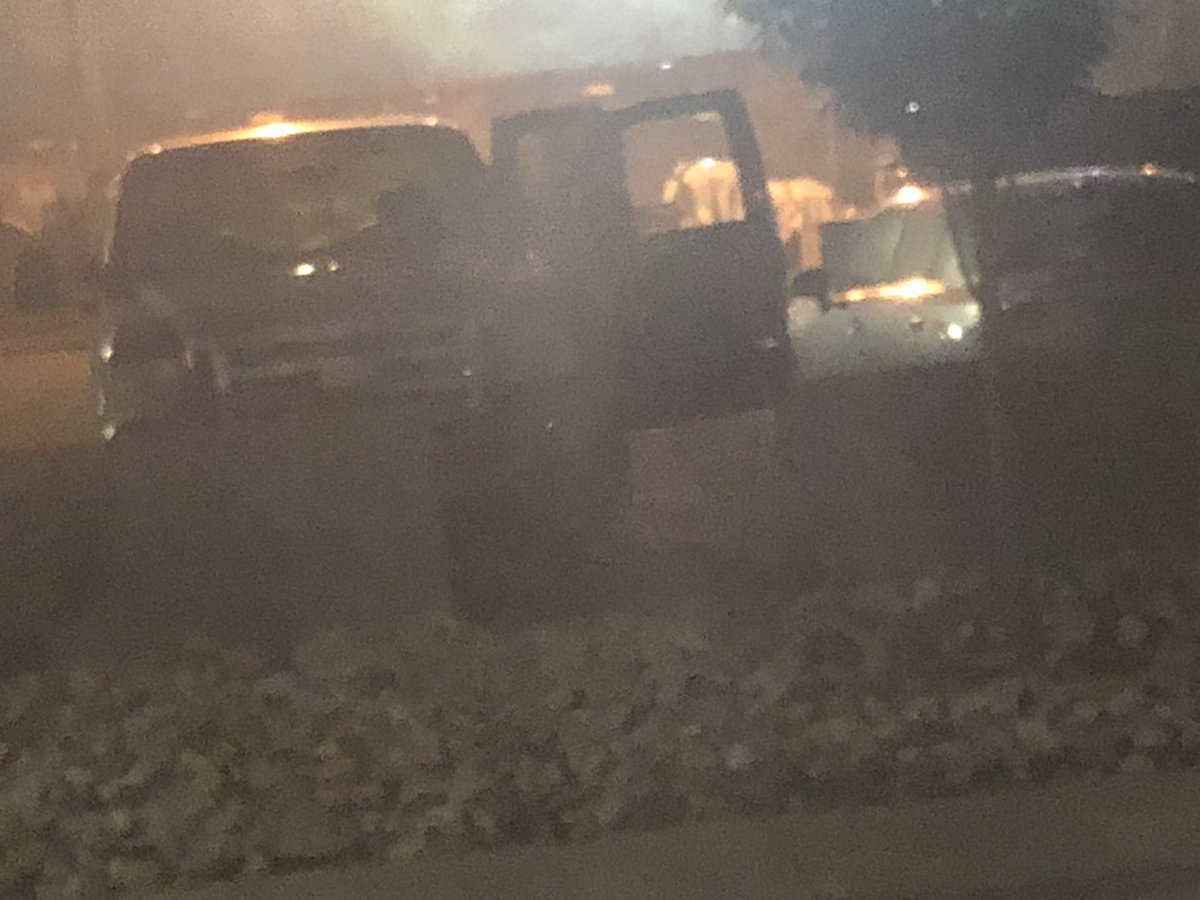 cutedolphin tweet media