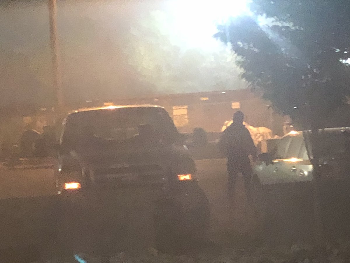 cutedolphin tweet media