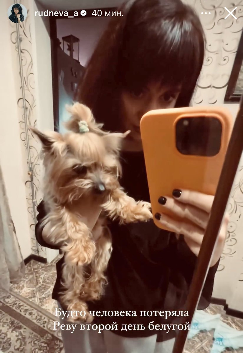 флэшбекнуло в день, когда 15 лет назад ездил выбирать это мохнатое чудо. как здорово, что из маленького подарка получился большой друг