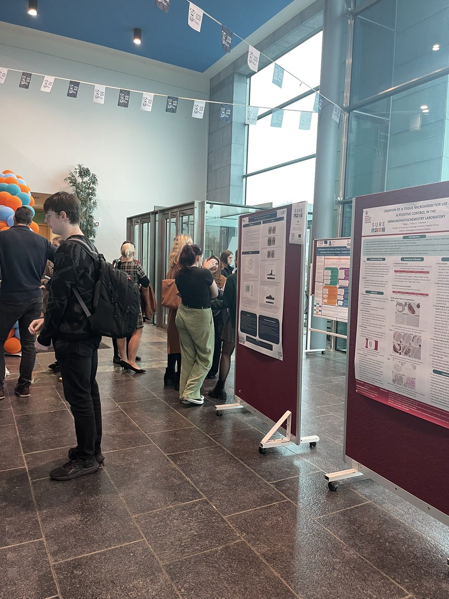 TBL_Symposium's tweet photo. Lovely atmosphere and some great science at the SURE 2024 #sure2025 conference I @atu_ie well done to all the presenters and organisers https://t.co/89FO0EhHKv