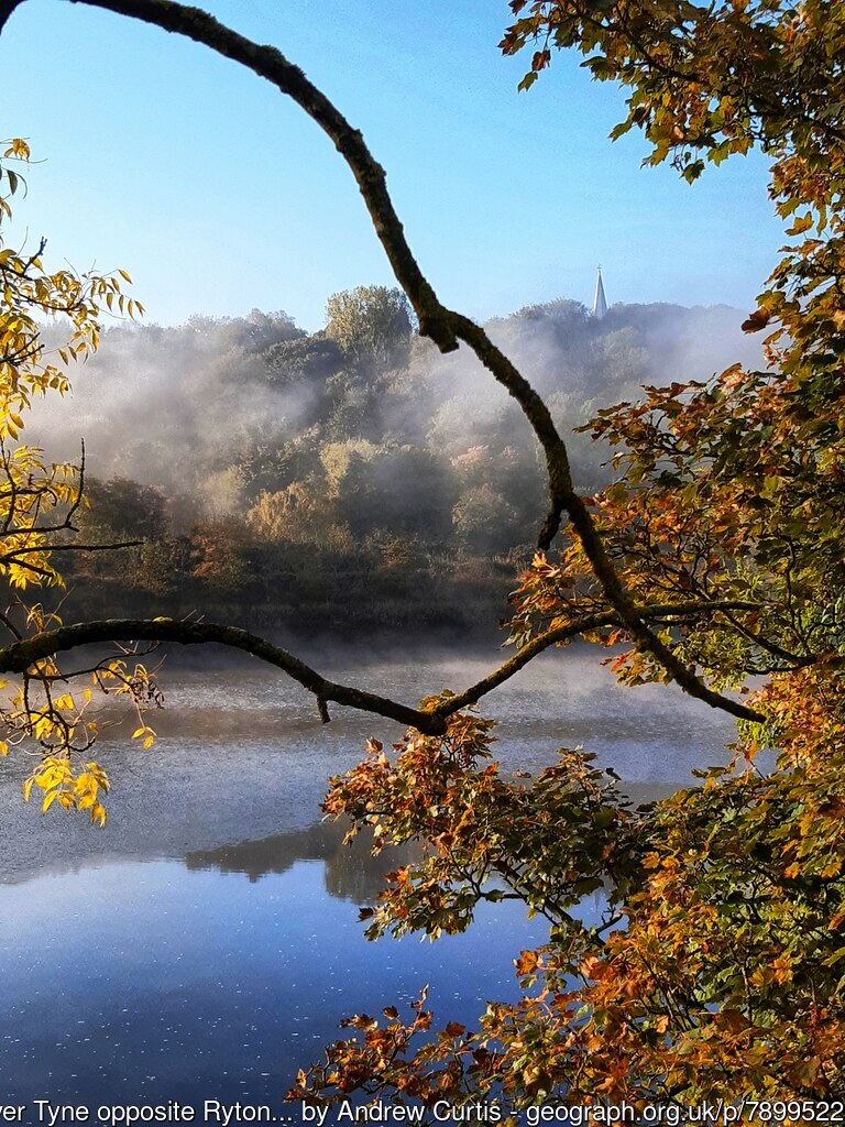 geograph_bi's tweet photo. Monday #Tyneside 
#RiverTyne #Ryton #mist #autumn #Gateshead https://t.co/7cSa5Dc8tF by Andrew Curtis https://t.co/cumdtlGcO1