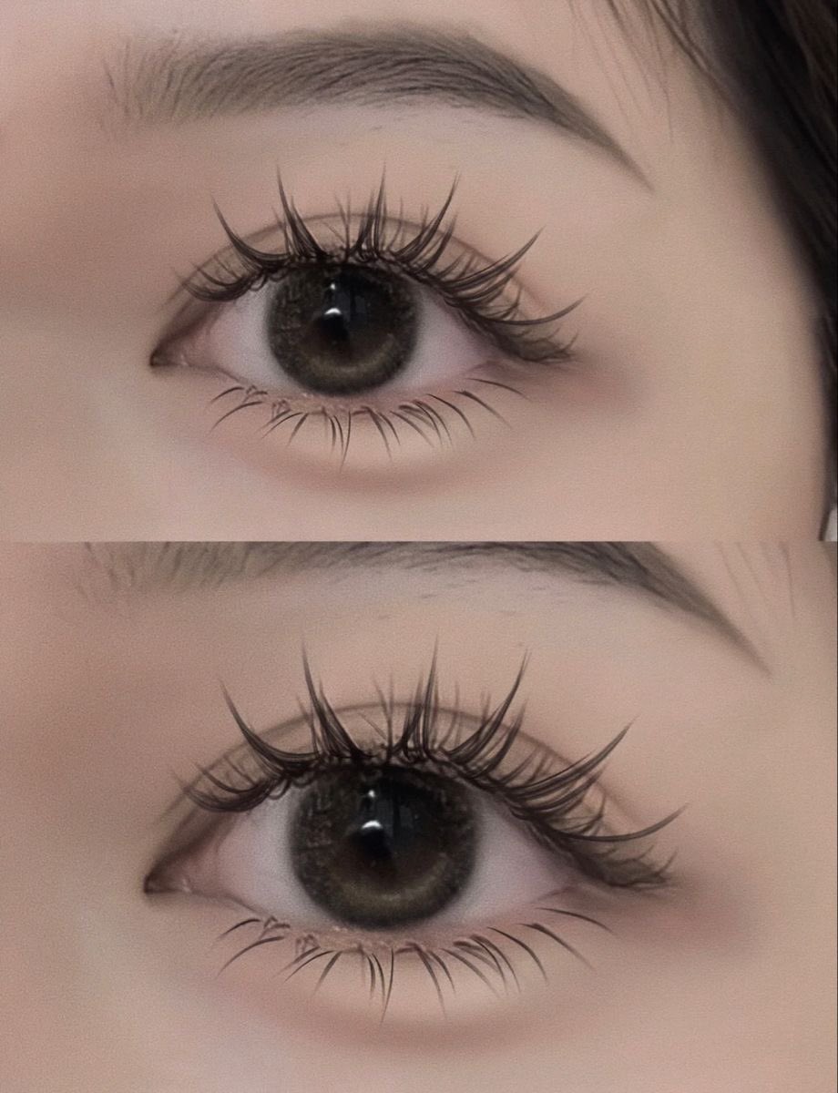 ๐๐๐๐๐ tweet media