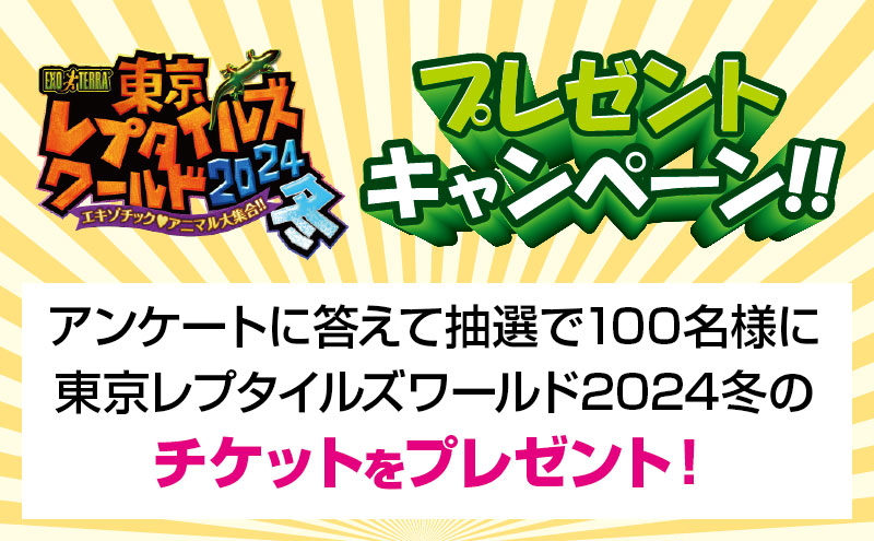 reptilesworld's tweet photo. ✨東京レプタイルズワールド プレゼントキャンペーン!✨
アンケートに答えて、抽選で100名様に「東京レプタイルズワールド2024冬」のチケットをプレゼント!
LINE公式アカウントからご応募いただけます。
https://t.co/6ifADS5uN3
#トウレプ https://t.co/dlml2kqmtk