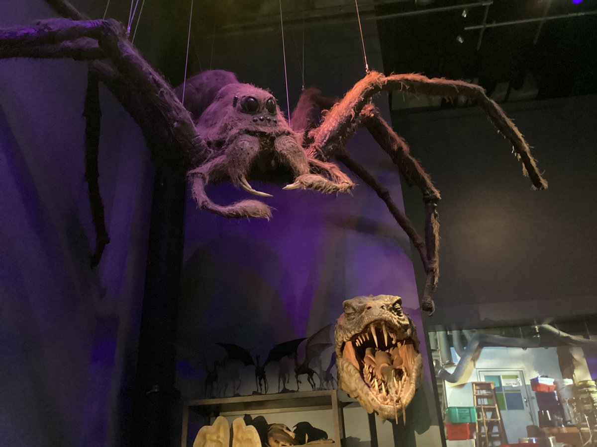 Year 5 had an incredible, magical day at Warner Bros. Harry Potter Studios yesterday. We were so proud of their impeccable behaviour - which meant a tourist made a point of telling us how impressed they were! Bendigedig! ✨🪄🧌<a href="/PPSMrsBaxter/">Julie Baxter</a>