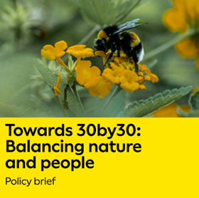 Emma Woods (@sdoowamme) on Twitter photo Delighted to share <a href="/NHM_London/">Natural History Museum</a> policy brief on #30by30 ahead of #COP16! Brand new analysis shows that protected areas aren't doing enough for the most critical ecosystem services. If we want 30by30 to work for nature and people, we need a rethink. nhm.ac.uk/our-science/se… Delighted to share <a href="/NHM_London/">Natural History Museum</a> policy brief on #30by30 ahead of #COP16! Brand new analysis shows that protected areas aren't doing enough for the most critical ecosystem services. If we want 30by30 to work for nature and people, we need a rethink. nhm.ac.uk/our-science/se…