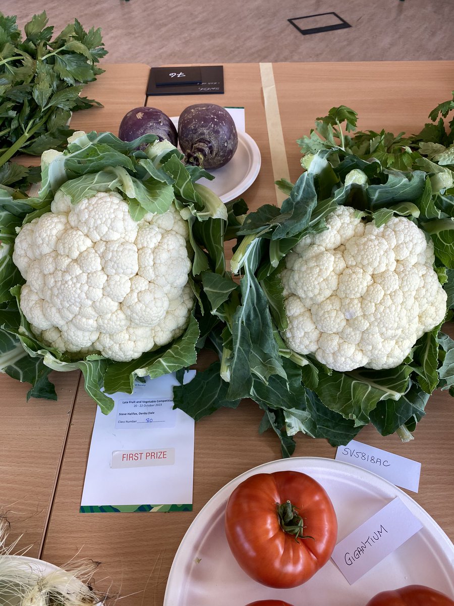 Medwyn Williams tweet media