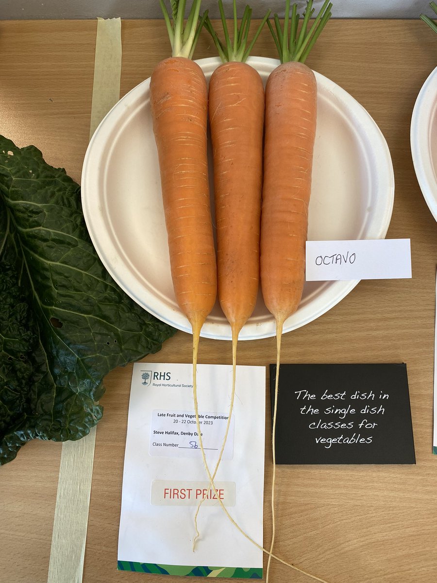 Medwyn Williams tweet media