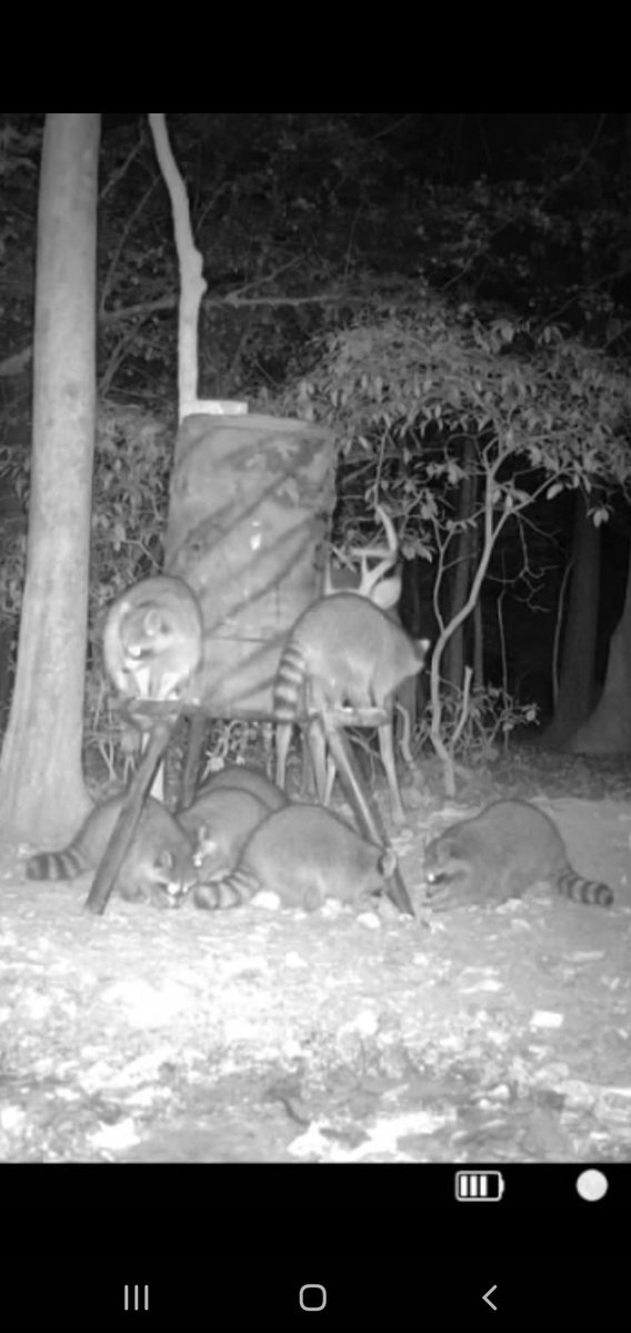 terry beaulac tweet media