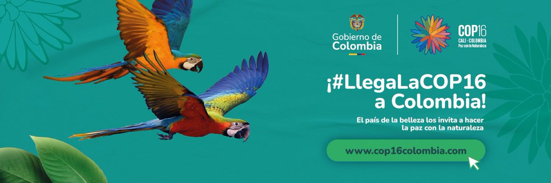 IngYulian's tweet photo. 🌱⚛️El @CIPDosquebradas de @UniversidadUNAD hará parte de @COP16Oficial, con dos ponencias aprobadas #Ecoovida2024:
1️⃣de2️⃣🎉Economías para la Vida y la Evaluación del Ciclo de Vida (LCA) Un Estudio de Caso en el Contexto del Aprendizaje Servicio Solidario en la UNAD. @JaimeLeal_ https://t.co/DxGJuNCFeh