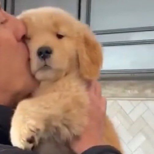 น่ารักมากกกกกกกกกกก