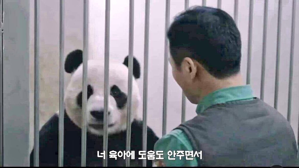 ZOA_BAO's tweet photo. 자막부터 동그란 얼굴까지 되게 철부지 아들같앜ㅋㅋㅋㅋㅋㅋㅋㅋㅋㅋㅋㅋㅋㅋㅋㅋㅋㅋㅋㅋㅋㅋㅋㅋㅋㅋㅋㅋㅋㅋㅋ https://t.co/dAlFlay2Gn