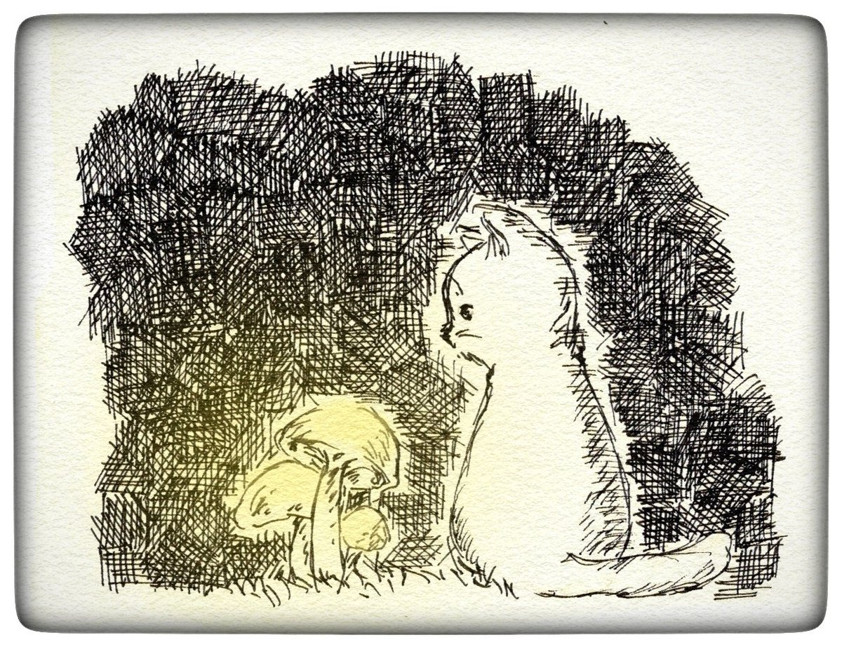 ねこと光るきのこ🍄 #猫イラスト #ねこかわいいね #イラスト #みんなで楽しむTwitter展覧会 #cats #pen #illustration