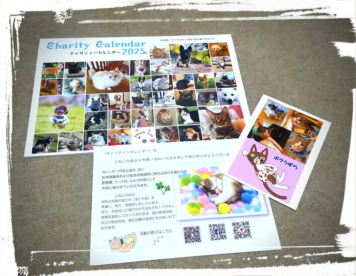 あみ(<a href="/ami_to_uzura/">あみと天国のうずら</a>)さんのところから可愛いカレンダーが届きました！！
来年もこのカレンダーで癒されるぞ～～