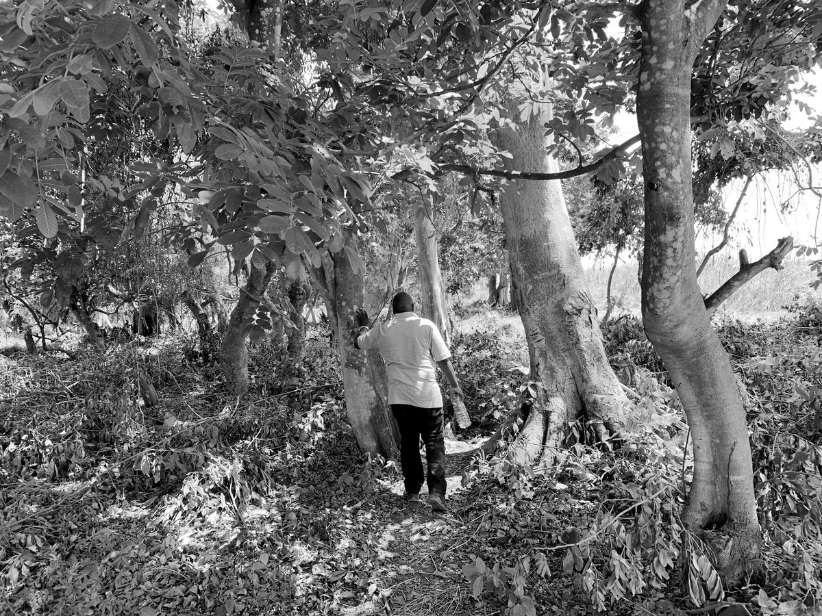 mugsamu's tweet photo. Always keep hope alive, Before you walk, you gotta fall acouple of times. Before you run, you gotta learn to walk first. Life is like so dont give! https://t.co/YJUEC4SHdF