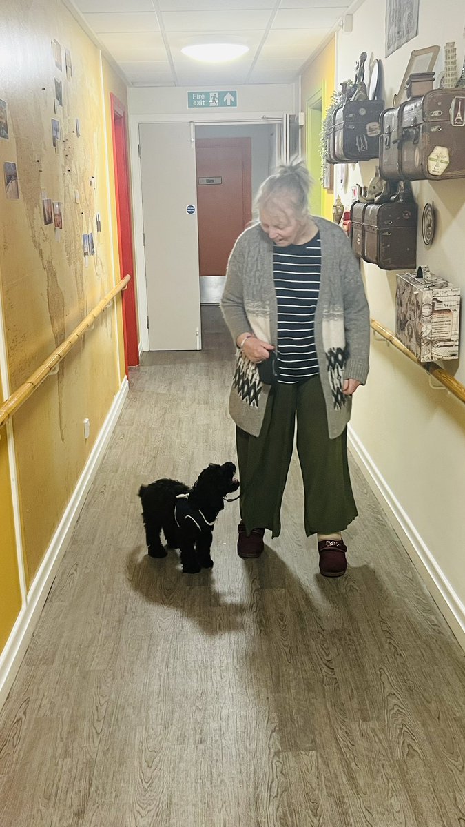 The beautiful Teddy has spent lots of time with our residents this morning 🐕‍🦺🐾💜

#animaltherapy