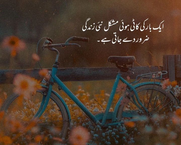 Good Afternoon !
 Jummah Mubarak X fam!❤️
Stay blessed gyz