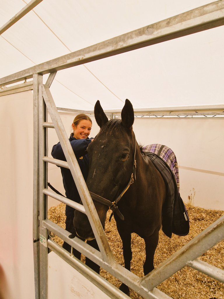 Sedbergh Equestrian tweet media