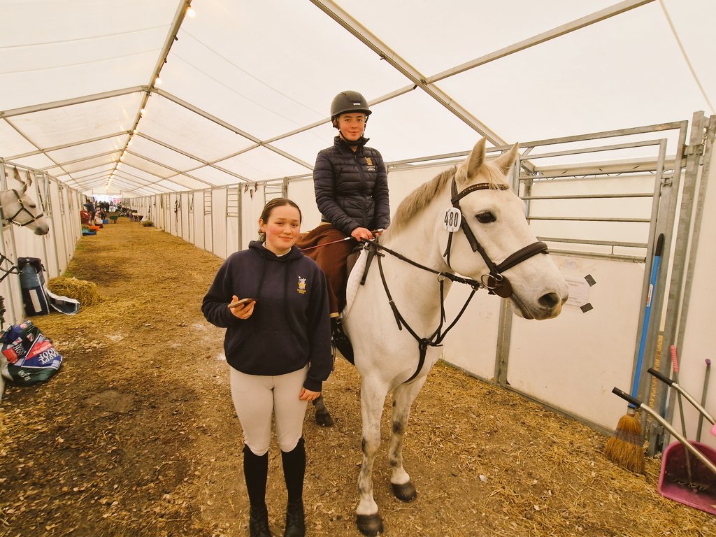 Sedbergh Equestrian tweet media