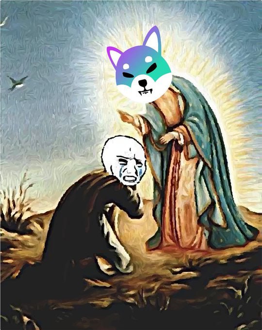 SHIB ON SOL tweet media