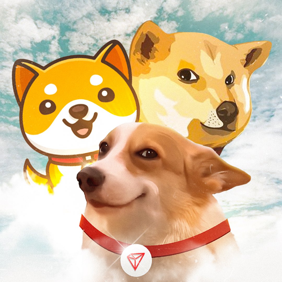 SUNDOG_TRX's tweet photo. @HTX_Global #HTXDOG to the sun ☀️🐕 https://t.co/d7Ryhpqrek