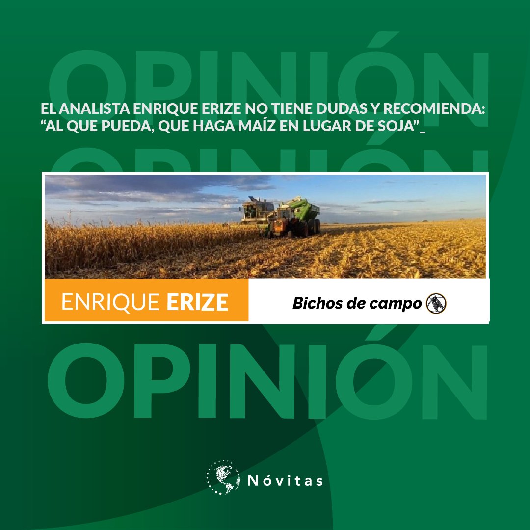 NovitasARG's tweet photo. La falta de maíz ha impactado en los precios de exportación, con un panorama favorable para quienes puedan sembrarlo, según Enrique Erize. https://t.co/JRq8wkRrQf