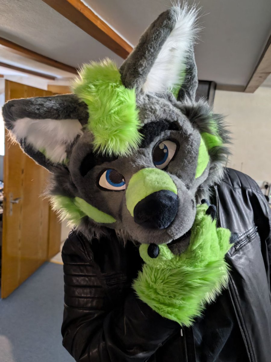 Chitto (@chittothewolf) on Twitter photo Mmh...is it #fursuitfriday yet?
🧵 <a href="/TheKarelia/">TheKareliaFursuits 🔜 EF29, Furnavia.</a>
📷 <a href="/TheAlexCrash/">Alex Crash</a>
(Jacket is imitation leather^^) Mmh...is it #fursuitfriday yet?
🧵 <a href="/TheKarelia/">TheKareliaFursuits 🔜 EF29, Furnavia.</a>
📷 <a href="/TheAlexCrash/">Alex Crash</a>
(Jacket is imitation leather^^)