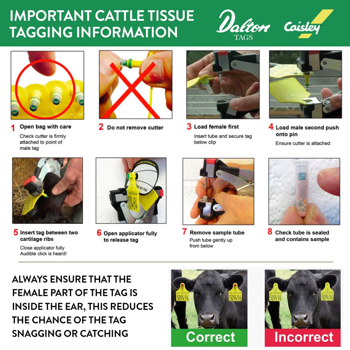 The Importance of Effective BVD Tagging Practices

Ensuring that your cattle are correctly tagged for BVD is not just a regulatory requirement—it’s a critical step in protecting your herd’s health &amp; safeguarding your business

For more info, call us on 01636700990