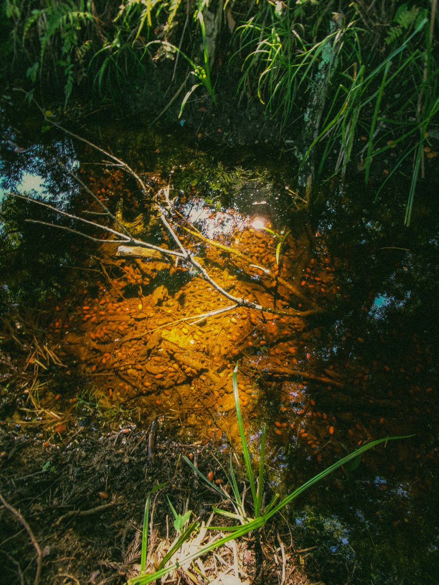 tetuyaokada532's tweet image. 