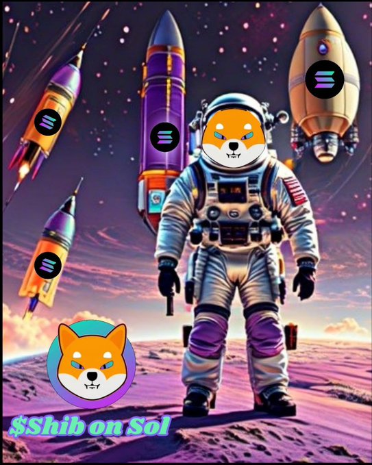 SHIB ON SOL tweet media