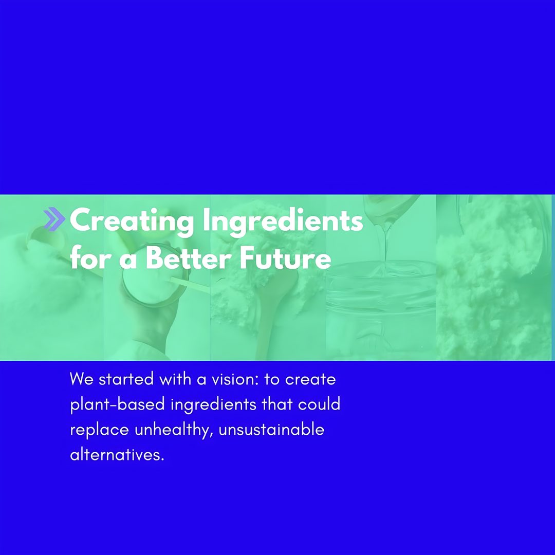 FooditiveGroup's tweet photo. We started with a simple goal: developing plant-based ingredients that matter. But at Fooditive Group, innovation doesn’t stop there. 🌱
Our cutting-edge technology fermentation, enzyme-driven processes, and upcycling now fuels sustainable innovation across the food industry. https://t.co/h6KFoJmnnK
