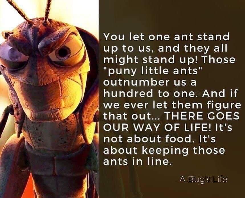 USTermLimits's tweet image. Let's make Congress work better for the people! Term Limits Now!
#TermLimits #TermLimitCongress