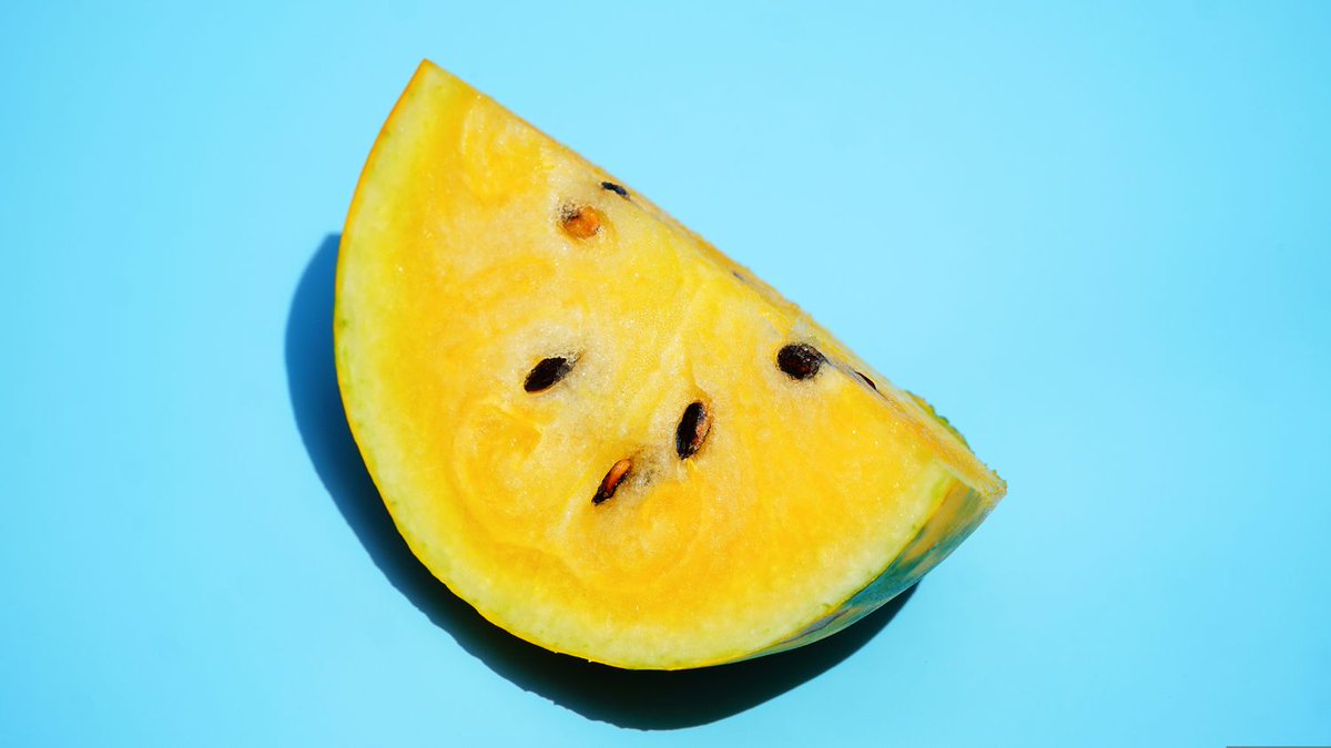 demi_farm's tweet photo. farmers what is a yellow watermelon? #farmers #afruit #agri. https://t.co/ft4GEPi78u
