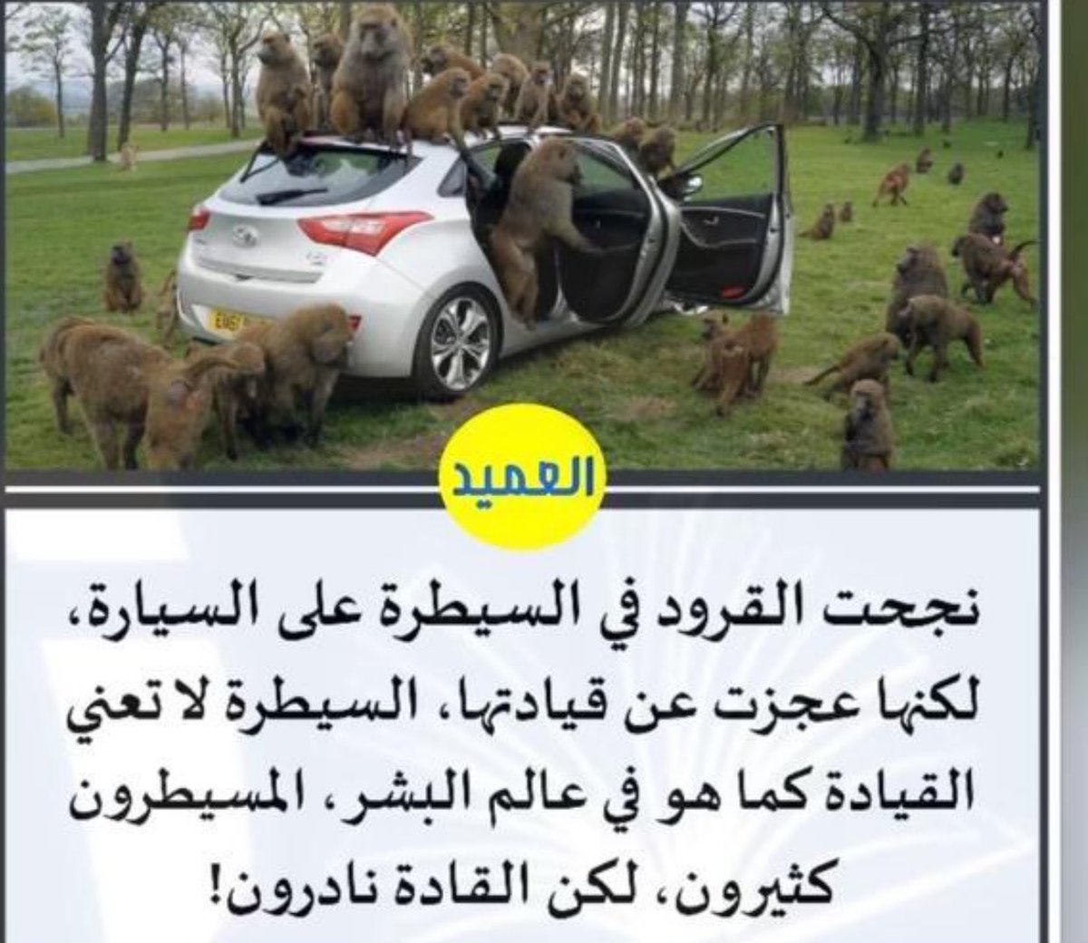 Abdulkarim Alqahtani (@kareem919) on Twitter photo 