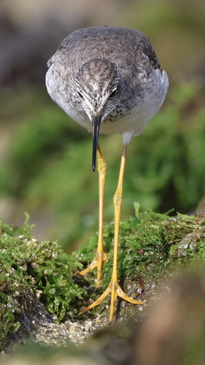 St. Mary’s Patch tweet media