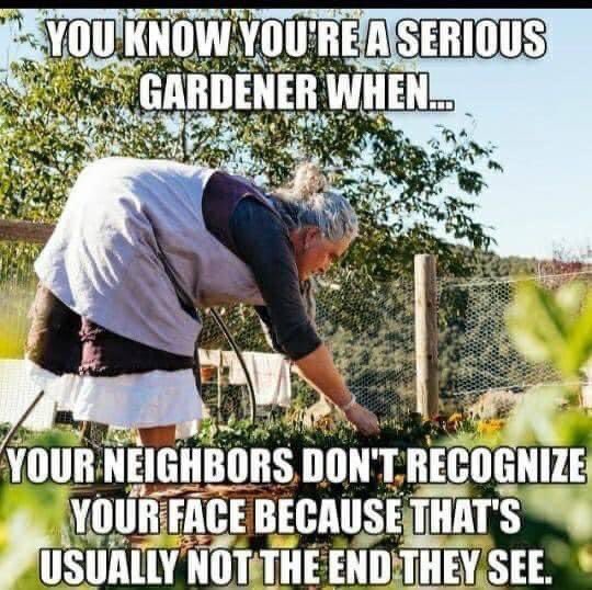 Sarahflowers50's tweet photo. Made me smile 😊
#ABitOfFun https://t.co/x1s5HsBeEf